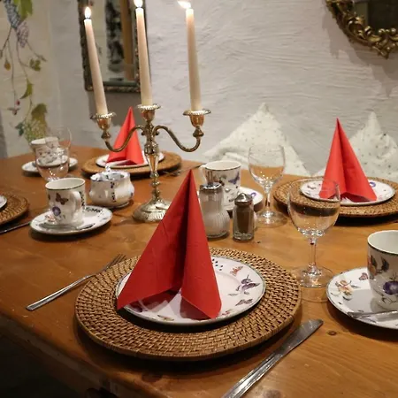 维泽福思尘布龙嫩旅馆 4*