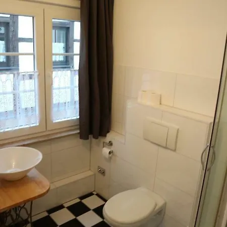 维泽福思尘布龙嫩旅馆 4* 科伯恩-贡多夫